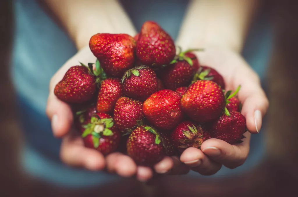 Combattez le gaspillage alimentaire avec HelpMyFood
