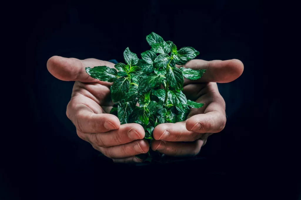 Gaspillage alimentaire : Des gestes simples, un impact durable.